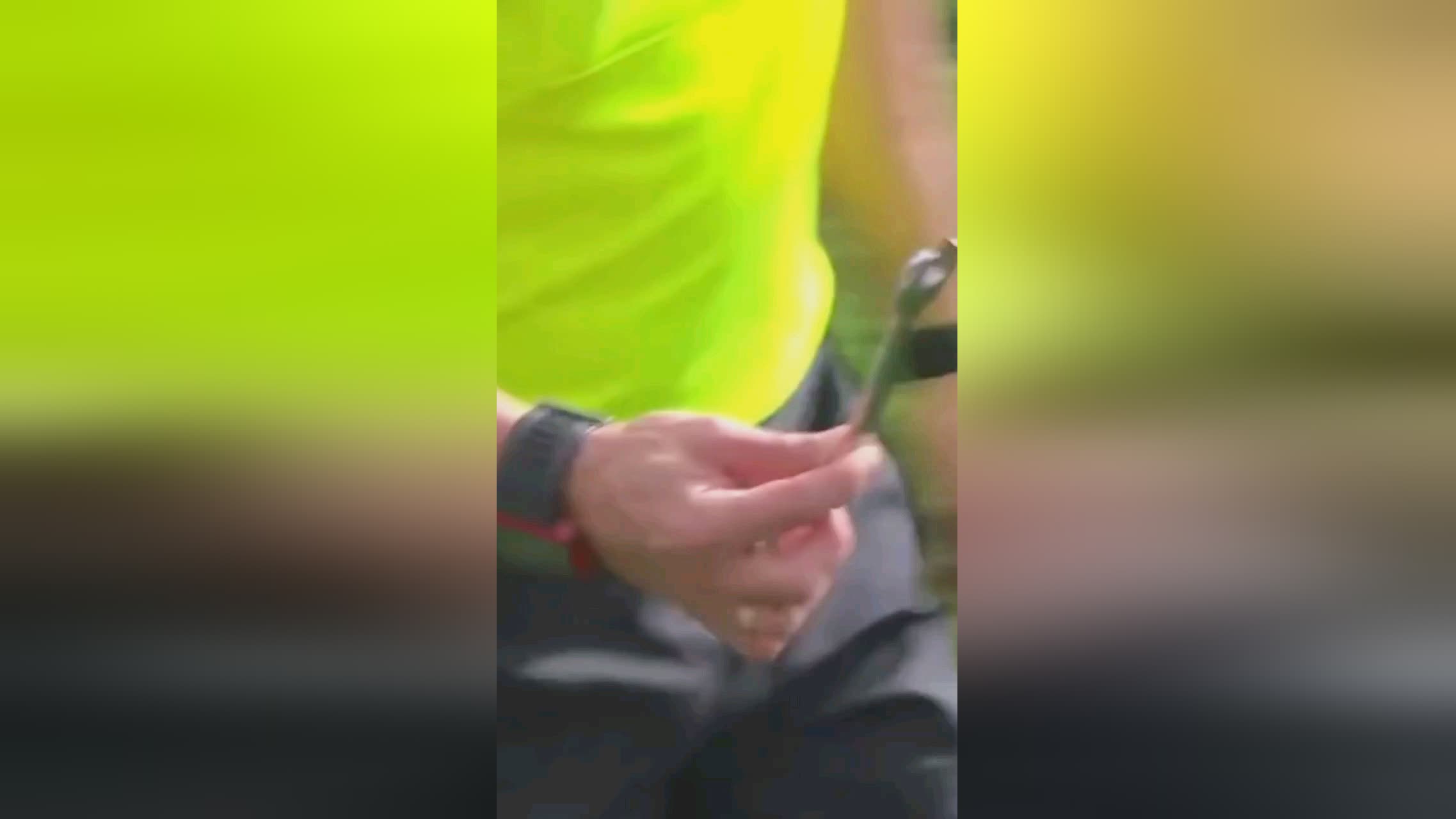 最终转向其